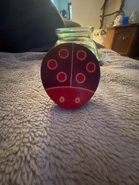 NWOT-Hand Painted Leather Ladybug Coin Purse